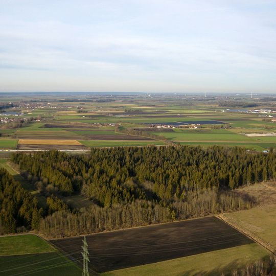 Wiedergeltinger Wäldchen