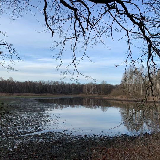 Teichlandschaft Buchwäldchen-Muckwar