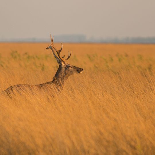 Dzharylhach National Nature Park