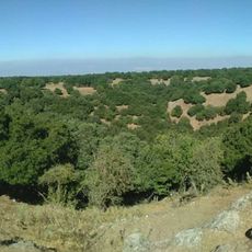 Punto di vista panoramico