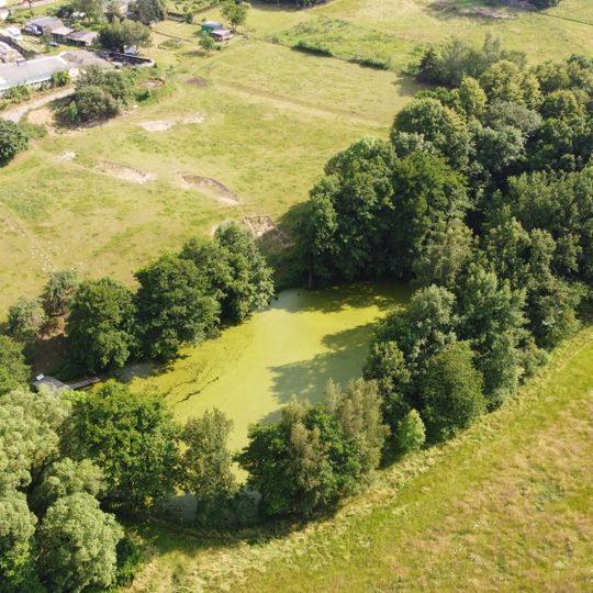 1. Teich in Teichkaskade Chursdorf und Feuchtgebiet