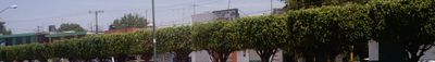 Panoramic View 1