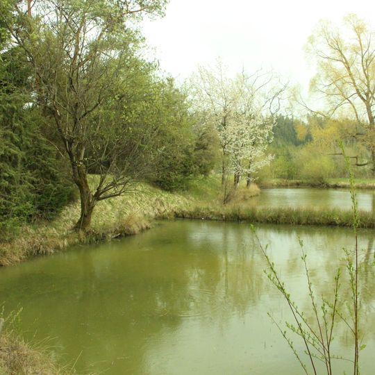 Dossinger Wette mit Umgebung