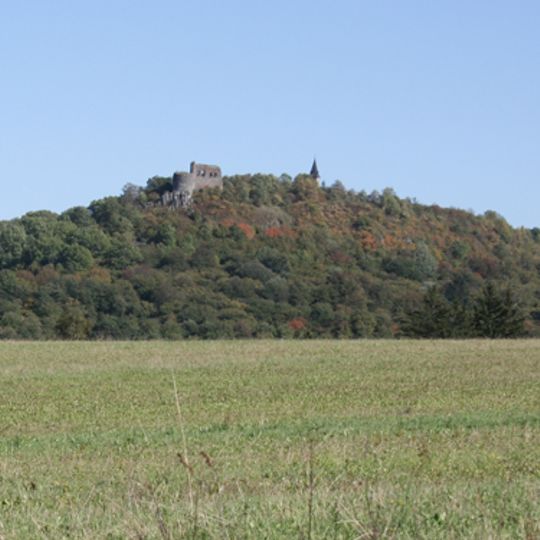 Švamberk Castle
