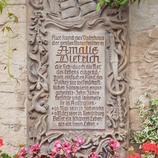 Gedenkstein für die Naturforscherin Amalie Dietrich Otto-Altenkirch-Straße 31