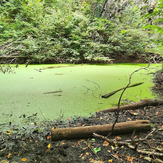 The Coissy pond