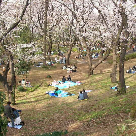 Mitsuzawa Park