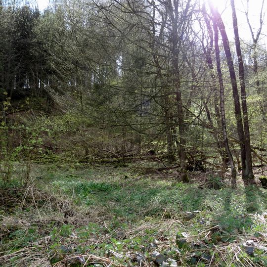 Kalkwäldchen Schüren