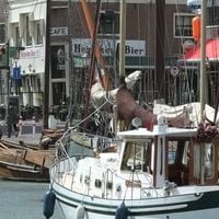 Hoorn