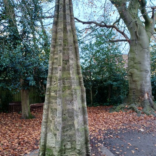 Top Of Spire From Church Of St John Morthgate In St Lucys Garden