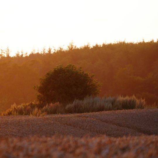 Dolmen von Dreslette