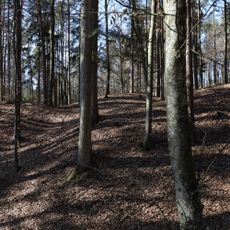 Barrow cemetery Seitenholz