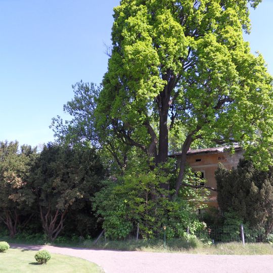 Orangerie Lauchhammer