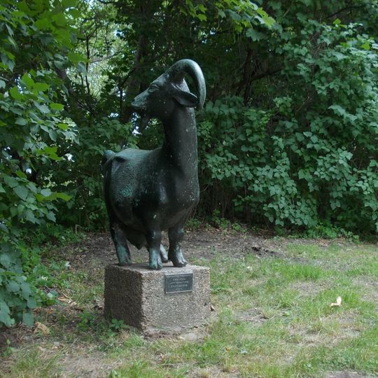 Afrikanische Zwergziege