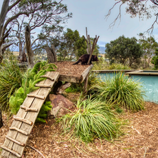 Bonorong Wildlife Sanctuary