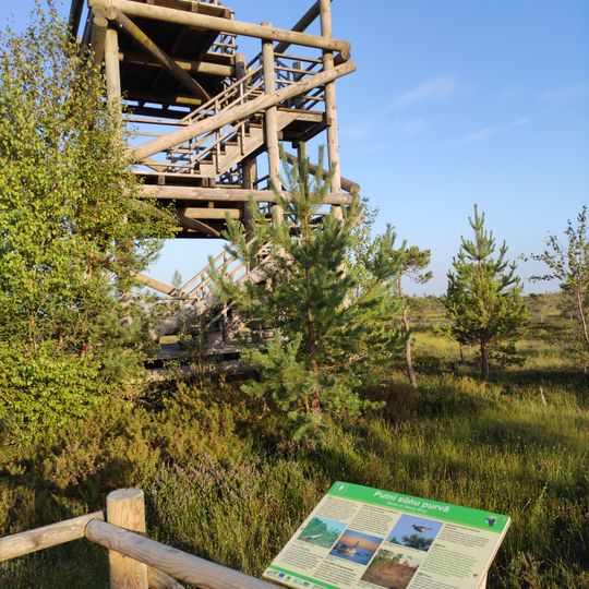 Lookout tower in Great Ķemeri Bog