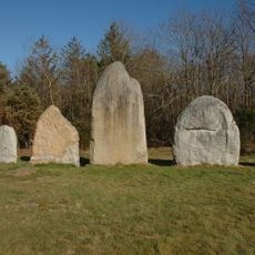 Alignements du Bois de Fourgon