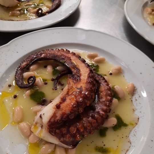 Giardino dei semplici