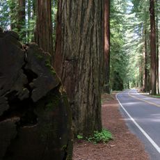 Ruta Estatal de California 254