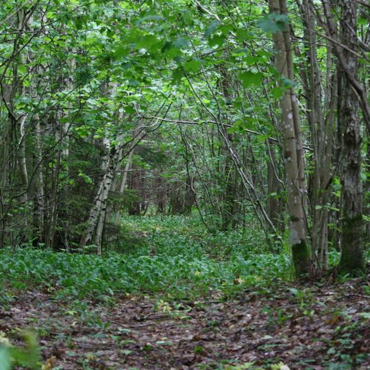 Viidumäe Nature Reserve