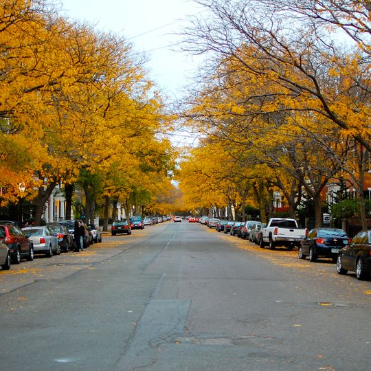 Chestnut Street District