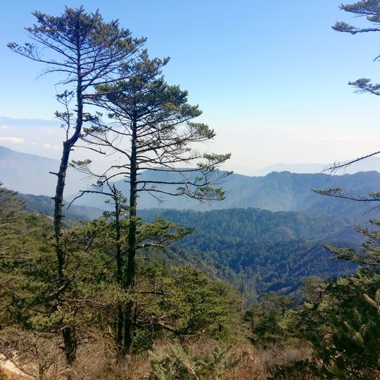 Parc national de Singalila