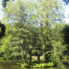 Rousseau Island