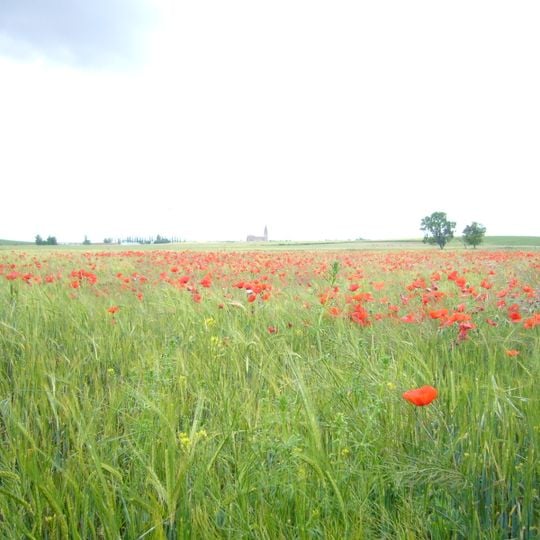Tierra de Cantalapiedra
