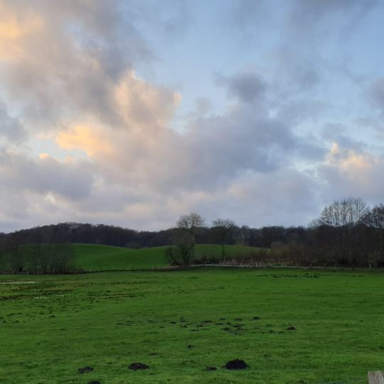 Wald nordwestlich Boksee