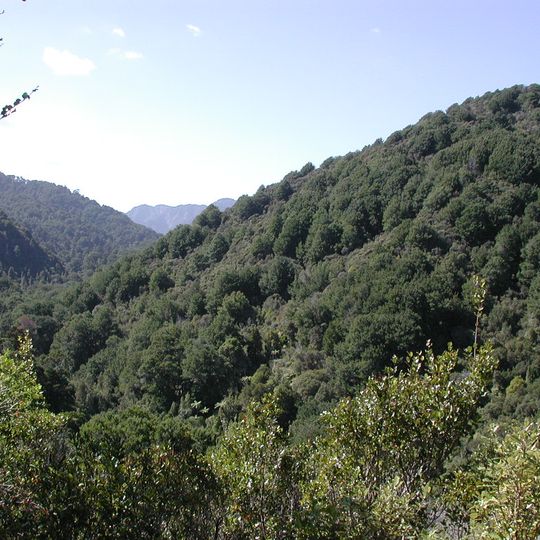 Remutaka Forest Park