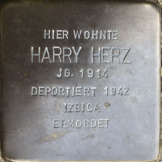 Stolperstein dedicated to Harry Herz