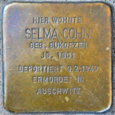 Stolperstein en memoria de Selma Cohn