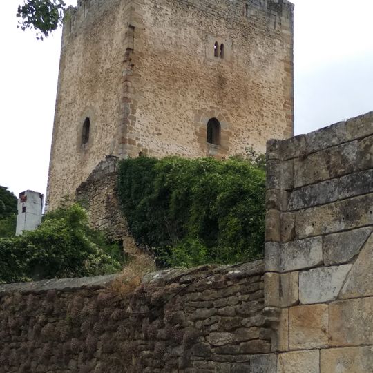 Tower of The Porres