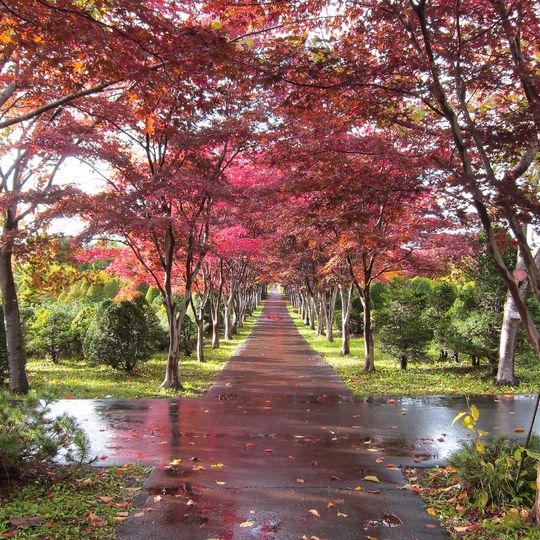 平岡樹芸センター