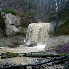 Wasserfall des Buttenmühlebaches