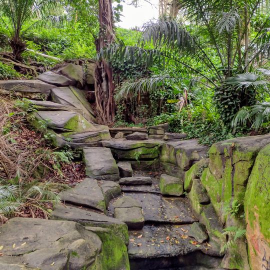 Cascata do Parque Guinle
