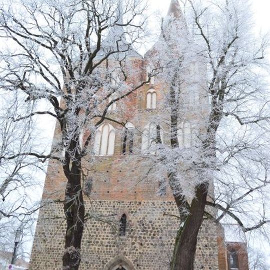 Naturdenkmal 2 alte Linden und 2 Eichen vor der Kirche in Gransee