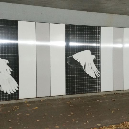 Vlucht van een kaketoe