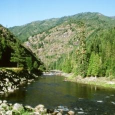 Clearwater National Forest