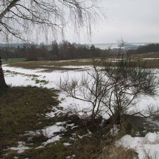 Kříž na rozcestí jižně od Všekar