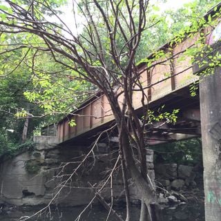 O'Bannon Creek Bridge
