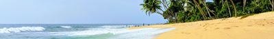 Panoramic View 1
