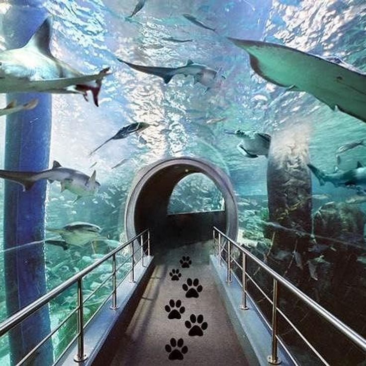 SEA LIFE Melbourne Aquarium