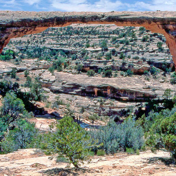 Natural Bridges National Monument