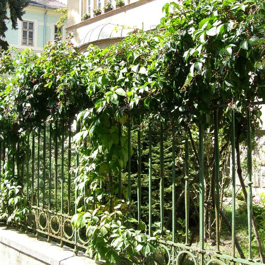 Nájomný dom so záhradou, záhrada