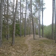 Sellnerovo hradiště