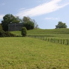 Oppidum Mont Vully
