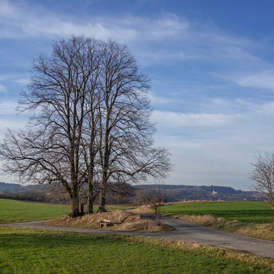 Lípy v Hradových Střimelicích