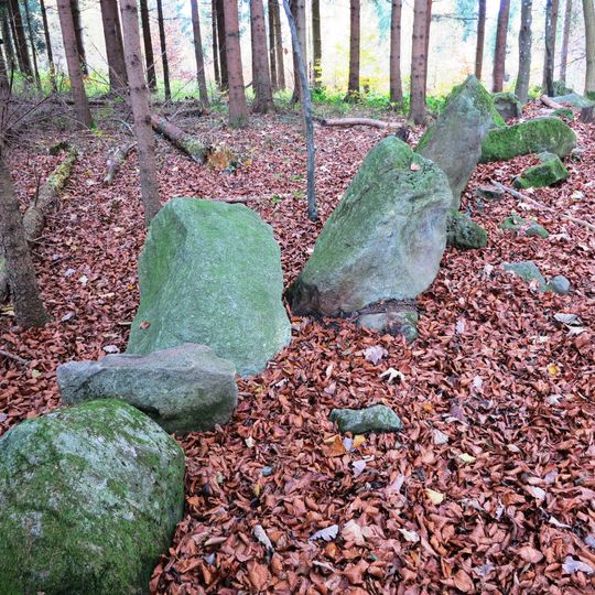 Allmend, Mühliberg, Weidmauer