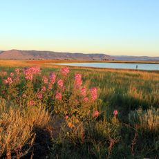 Mortenson Lake National Wildlife Refuge